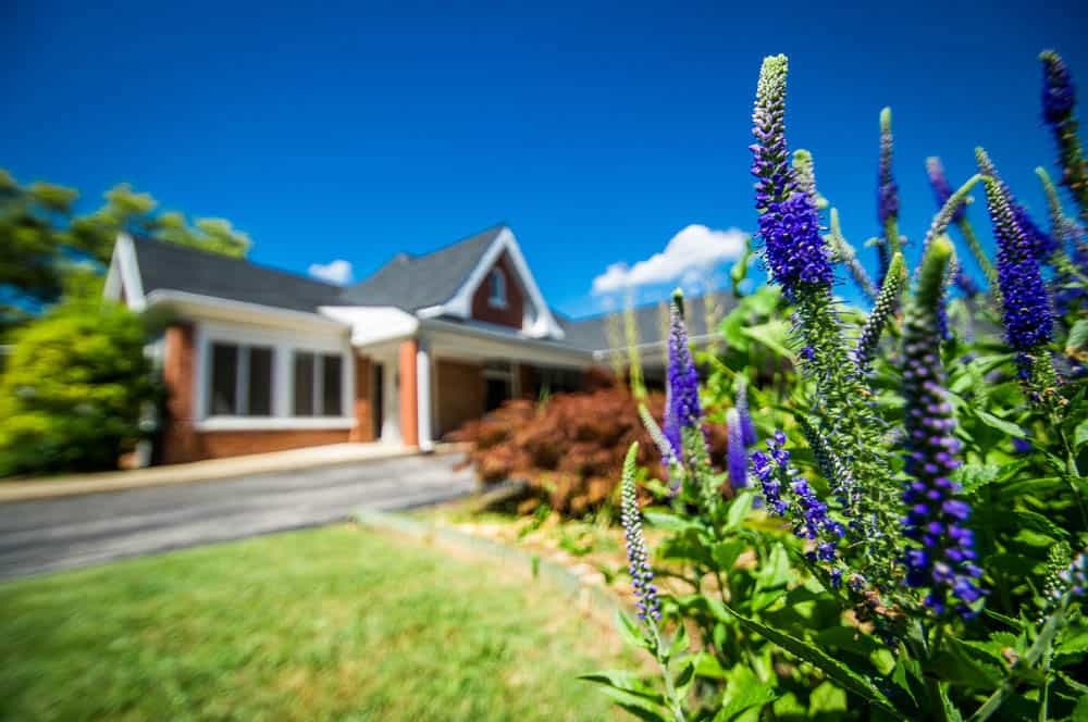 coronavirus pandemic response